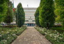 Tea si aggiudica l’Oscar di Bilancio