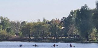 Operazione laghi puliti, il 22 agosto giornata ecologica sulle sponde dei laghi di Mantova