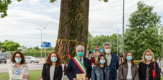 La quercia di piazza Giotto a S.Giorgio è diventata simbolo della Legalià