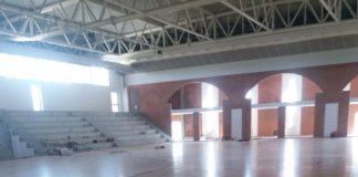 Per il parquet del PalaFarina legno di faggio dalla Danimarca