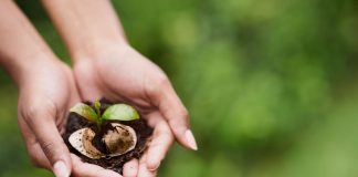 Il caffè espresso napoletano amico dell’ambiente