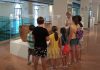 Piccoli archeologi crescono: successo per il primo appuntamento de “La città nascosta per i bambini” MANTOVA, Dopo il successo della scorsa settimana, anche questo sabato il Museo Archeologico Nazionale di Palazzo Ducale apre le porte ai suoi visitatori più piccoli con una serie di laboratori didattici dedicati alla mostra “La città nascosta". Per imparare divertendosi! Le archeologhe Chiara e Daniela condurranno i bambini alla scoperta degli ultimissimi scavi mantovani e dei nuovi ritrovamenti che hanno regalato. Domani sarà la volta di andare alla scoperta dell'alfabeto degli Etruschi. Di seguito tutte le informazioni e il calendario dei laboratori: Laboratori didattici “La città nascosta”, giugno-luglio 2021 Sabato dalle 15 alle 16:30 Per bambini tra i 6 e i 12 anni (indicativo) Gruppi da massimo 10 bambini Dove: aula didattica del Museo Archeologico Costo: biglietto didattica € 5,00 Prenotazione via mail (pal-mn@beniculturali.it) oppure chiamando il numero 333 4910543 attivo il martedì ore 10-12 e il venerdì 10-12 Sabato 19 giugno ore 15 L'A, B, C DEGLI ETRUSCHI Che lingua difficile l'etrusco! E' scritto con strane lettere spesso incise su oggetti in ceramica o terracotta. Ma con un pizzico di aiuto possiamo provare a riconoscerle, a leggere qualche parola e, magari, anche a trascrivere il nostro nome con i caratteri etruschi. Sabato 26 giugno ore 15 CHI CI LASCIA LO ZAMPINO? Passando sull’argilla ancora fresca animali piccoli e grandi potevano lasciare orme sui mattoni romani. I reperti esposti nella mostra ci danno lo spunto per osservare le impronte animali, distinguerle e riprodurle. Attività per bambini molto curiosi e desiderosi di mettersi alla prova nel riconoscimento delle tracce. Sabato 3 luglio ore 15 UN TESORO DI BAMBINO Quando pensiamo a ricche tombe scavate dagli archeologi ci vengono in mente re, guerrieri, sacerdoti. Qualche volta però nelle sepolture possiamo trovare dei bambini, come nell’importante tomba di epoca longobarda rinvenuta in via Rubens. Ispirandoci al corredo del piccolo, cui furono riservati grandi onori, realizziamo crocette in lamina con la tecnica dello sbalzo.