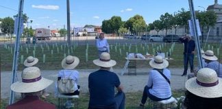 “Cantine Aperte” a Quistello: successo per l’evento di domenica 29 maggio