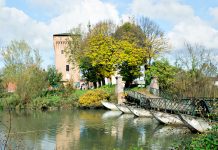 Commessaggio: domenica prima edizione del Festival delle erbacce tra natura, cibo e cultura