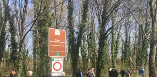 Bioblitz: esplorazioni gratuite nell’area umida di Valle il 12 giugno a Castiglione