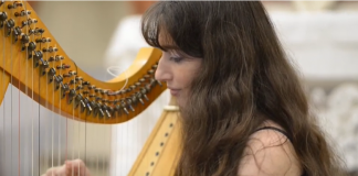 Musica nei parchi di Porto Mantovano con la rassegna “Note d’Incanto”