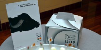 Intesa-San Paolo, molta richiesta lavoro settore mozzarella bufala campana