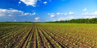 Guerra in Ucraina, Confai Lombardia: “Le conseguenze del conflitto pesano sul settore primario” Psr, dalla Regione 400 mln di euro in due anni per le aziende agricole. Con i primi bandi già disponibili 185 mln