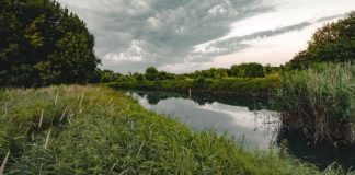 Ex Lago Paiolo, Costani e Cantarelli chiedono di valutare l’esproprio dell’area Il Paiolo martedì approda in Consiglio Regionale. Fiasconaro: "chi ha a cuore l'area venga a Milano"