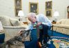 Biden, è morto il cane Champ