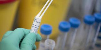 Covid Fvg oggi, due nuovi contagi e zero morti: bollettino 21 giugno