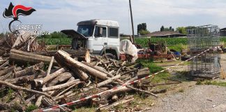 Corte agricola trasformata in discarica. I carabinieri denunciano un 57enne