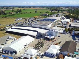 Fiera Millenaria, ultimo weekend di apertura. Il programma di sabato e domenica