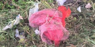 L’appello di Insieme per San Benedetto: “Sfalci e arature, allarme microplastiche”