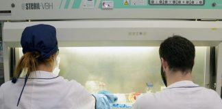 Tumori, Iss: “La caffeina ha un effetto protettivo contro il melanoma”