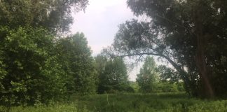 Isde Mantova, il 30 settembre incontro sul destino dell’ex Lago Paiolo