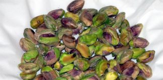 California, caccia ai ladri di pistacchi