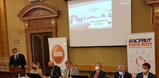 A Macfrut 2021 la filiera dell’ortofrutta si incontra in presenza