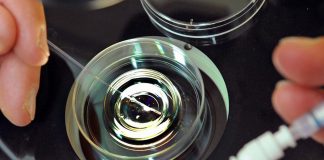 Francia, procreazione assistita anche per donne single e lesbiche