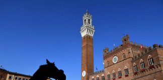 Siena, annullato il Palio del 16 agosto