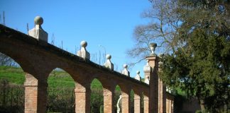 Il 9 luglio nei giardini di Palazzo Bonazzi a Ostiglia il ds e ex calciatore di serie A, Damiano Tommasi