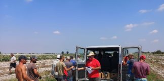 Flai-Cgil Mantova “on the road” per incontrare gli stagionali dell’agricoltura
