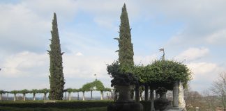 “Volta Mantovana, nel cuore della storia”: tour gratuito tra arte, natura e sapori della tradizione