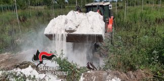 Rifiuti (anche pericolosi) in un terreno agricolo di Roncoferraro: denunciati i responsabili