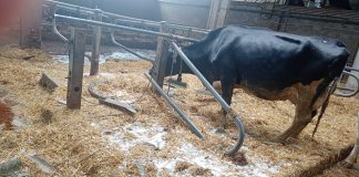 Negato lo stato d’emergenza a Gonzaga: Forattini (Pd): “Servono spiegazioni”