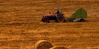 Agricoltura, il Consiglio regionale approva la risoluzione di sostegno alle aziende lombarde