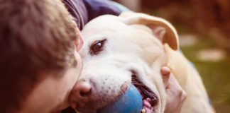In vacanza con cani e gatti, ecco la guida
