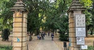 Estate ai giardini Valentini, martedì dalle 16.30 lo spettacolo “Clowndestino”