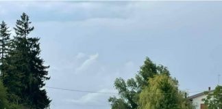 Maltempo, alberi e pali della luce a terra. A Viadana super lavoro per Polizia Locale e Protezione Civile