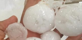 Chicchi di grandine come albicocche, piante abbattute e cantine allagate. L’alto mantovano nella morsa del maltempo