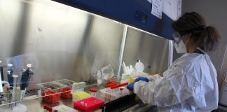 “Variante delta in Italia al 22,7%, inglese al 57,8%”