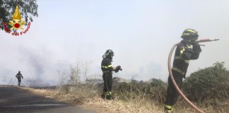 Incendi in Sardegna, vasto rogo nell’Oristanese: case evacuate e Canadair in azione