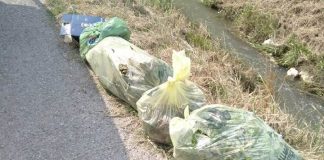 Sfalci e potature diventano rifiuti speciali. E le imprese li lasciano a bordo strada