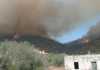 Incendi Sardegna, proseguono i soccorsi: canadair in volo