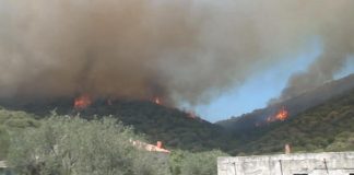 Incendi Sardegna, proseguono i soccorsi: canadair in volo