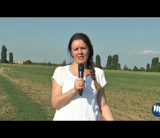 Le vie del gusto, la nuova rubrica con protagonisti gli agriturismi di Terranostra Mantova