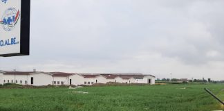 Tromba d’aria e grandine nel Basso Mantovano, Coldiretti: richieste danni per 5 milioni