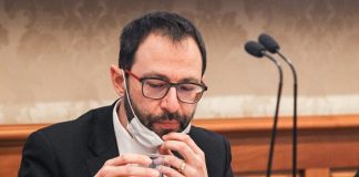 Incendi, Patuanelli “Governo valuta task force per Sud Italia”