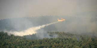 Incendi, in Italia dall’inizio del 2021 bruciati 158mila ettari