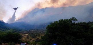 Incendi, da Consiglio dei ministri ok a stato emergenza per 4 regioni