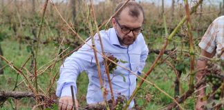 L’assessore Rolfi nelle aziende colpite dal maltempo: “rivedere le politiche associative per offrire alle aziende coperture maggiori”