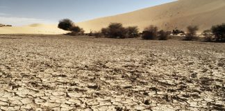 Clima, allarme Onu “Cambiamenti senza precedenti, alcuni irreversibili”