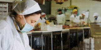 Its Iridea, al via corso alta formazione per professionisti agroalimentare