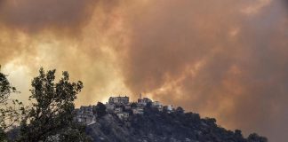 Incendi in Algeria, le vittime sono almeno 42