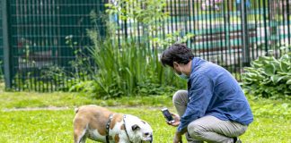 International Dog Day il 26 agosto, sempre più richiesti educatori e dog trainer