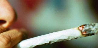 Cannabis, con uso frequente rischio cardiovascolare quasi doppio